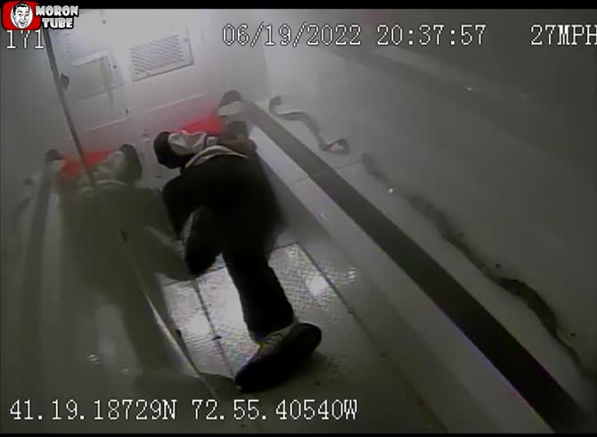 Video :This prisoner has the bad idea of ??annoying police officers during a transport